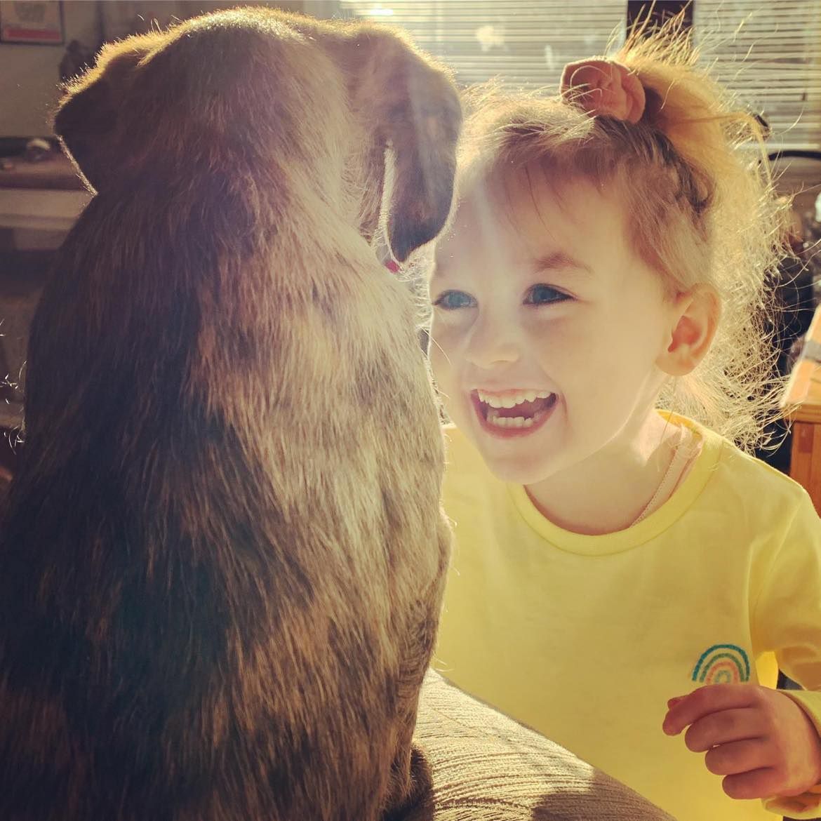 DEBRA UK tweet media