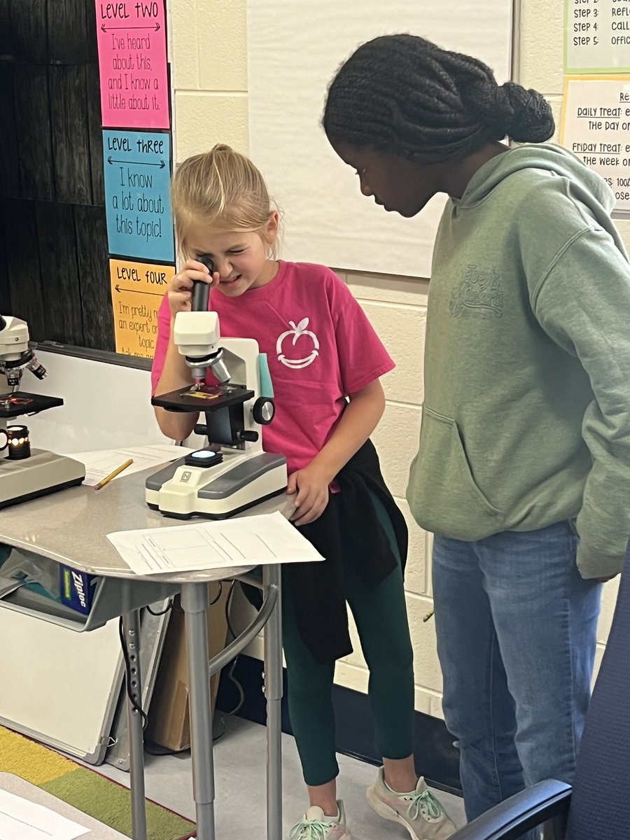 Learning more about cells through observations and the creation of models. 🔬