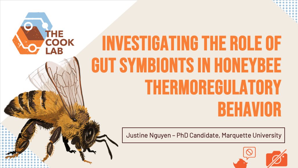 jlotusnguyen's tweet photo. Less than a week till #EntSoc23! 🤩I'll be presenting Monday in Chesapeake 4-5 at 9:48AM.
Liked what you saw? Enjoyed the memes? Want a postdoc in a year-ish? Come chat with me!
I'm interested in the physiologies driving coordinated behavior in social insects! :) https://t.co/gQIqEGZnR7