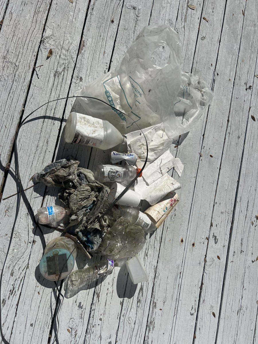 priceyharrison's tweet photo. This morning’s (mostly) #plastic trash haul from my short paddle on the creek. More than my paddle board could carry and much more marine debris lining the marshy shore. We can and must do better. #EndSingleUsePlastic #BreakFreeFromPlastic #ActOnClimate @PadleOutPlastic https://t.co/xCjNWZeYuG