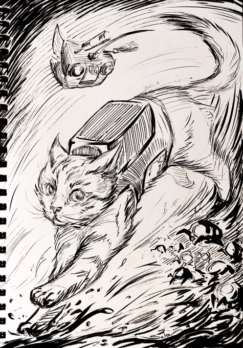 Day 30 - Rush
Does anyone know/remember this brave cat? 🐱❤️

#stray #inktober #inktober2023 