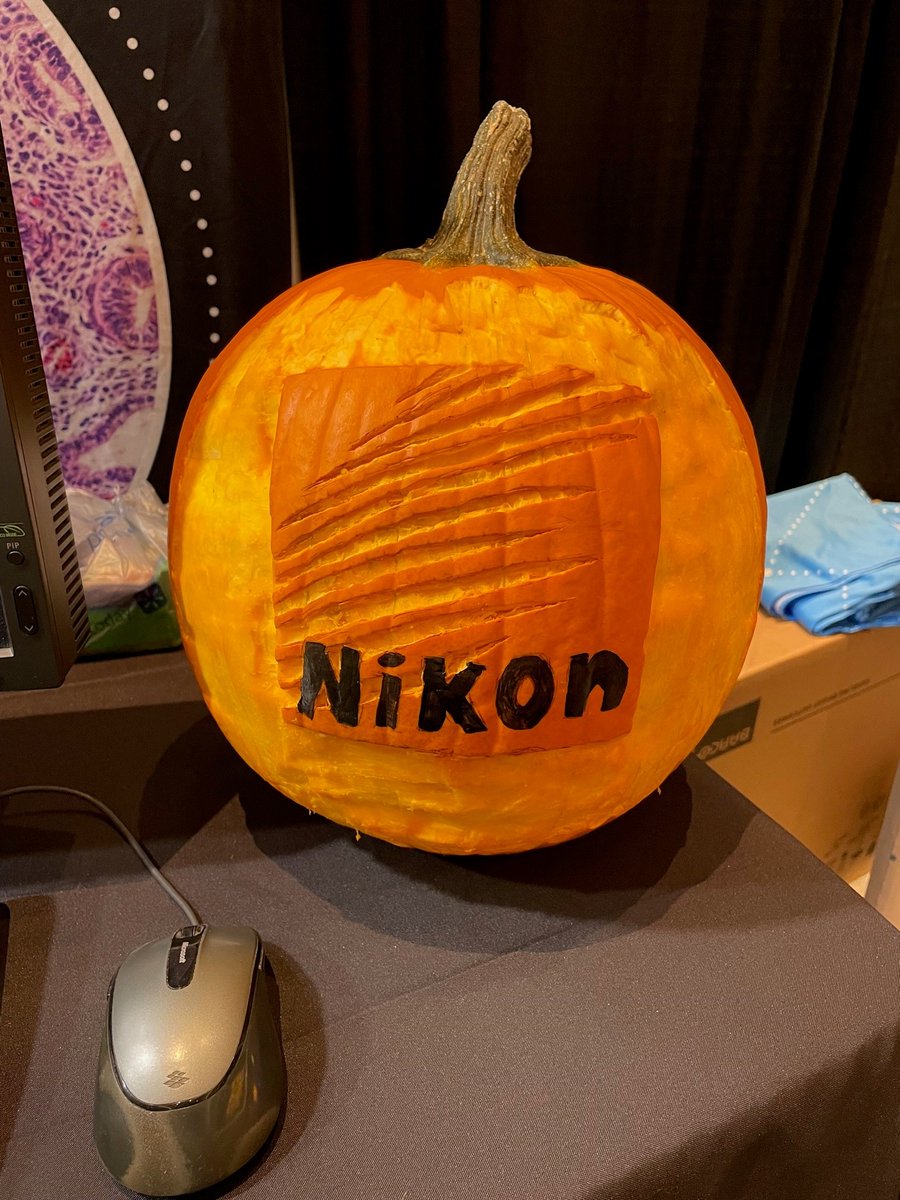 We’re having a great time at #PathVisions2023! Stop by booth 116 and check out our #Microscopy solutions for #DigitalPathology. Click for more information, including a full list of products on display: bit.ly/3MolhBA