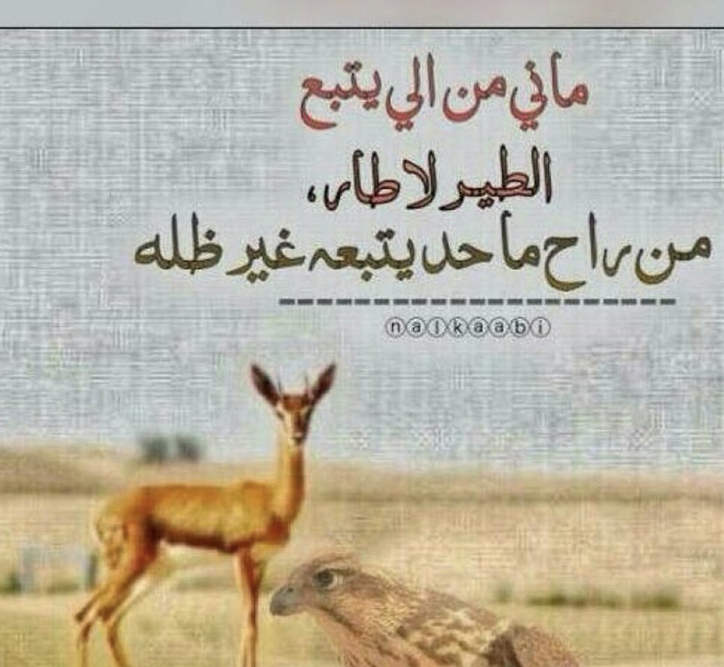 klam_0550's tweet photo. https://t.co/bY6Y8zFKPG