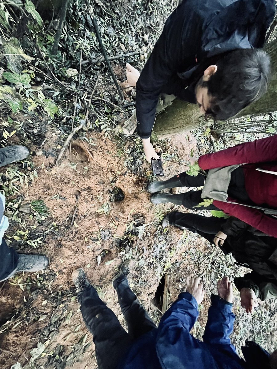 pearceenviro's tweet photo. We recently delivered some back to back Level 1 and Level 2 BADGER 🦡 training courses. Our courses tap into decades of experience of working with badgers and vast licensing and mitigation experience.  Even the cat enjoyed our course today. 
#badger #ecology #ecologytraining https://t.co/YZggobjWsG