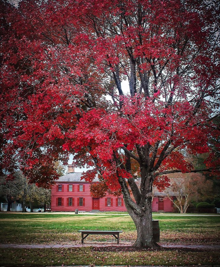 There’s nothing like a late October ghost tour. 👻 A popular stop is the Peyton Randolph House, which is known as one of the most haunted houses on the East Coast. Head to the link below to learn more from Cyndi Rich of Colonial Ghosts. #VisitWilliamsburg

bit.ly/40jP2t9