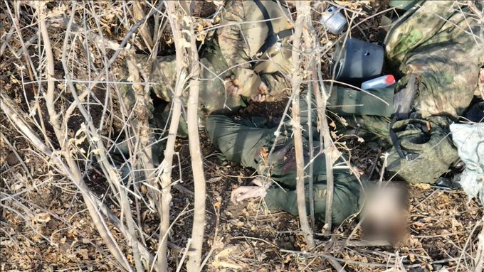 c0mmand0_2022's tweet photo. 🇺🇦#Ukraine 🇷🇺#Russia:
⚡️Hướng #Tomak vài ngày trước, drone Uka ghi lại được hình ảnh những tù binh Uka với 2 tay bị trói bị sát hại trong các chiến hào Nga. Dựa vào phù hiệu thì họ thuộc Vệ binh Quốc gia Uka. https://t.co/5kQd8xe0Pk