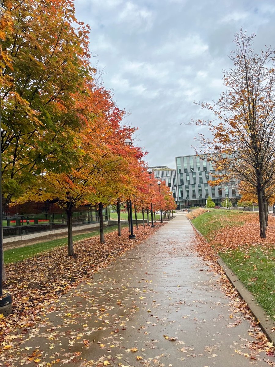 Falling for UC 🍁

#PrettyPicMonday