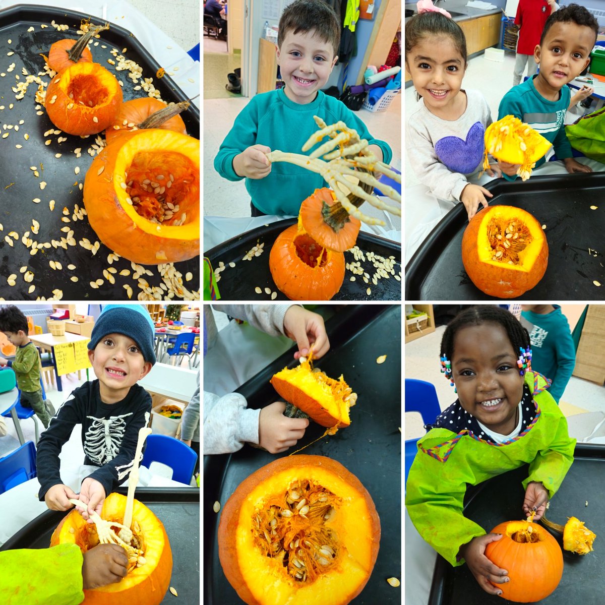 mmevanneste's tweet image. On this last day of our Pumpkin inquiry, the Maples investigated the inside of "les citrouilles"! @StRitaOCSB #ocsbDL #InquiryBasedLearning