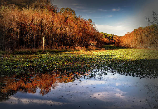 nbrandsberg's tweet photo. Chattanooga Tennessee River Bend Sunset in January available here:

https://t.co/1jKWC2alIA

#wetumpka #alabama #wetumpkasunset #wetumpkanature #montgomeryal #coosa 
#forttoulouse #montgomeryalabama #AYearForArt #BuyIntoArt #artforsale #Mastodonart #FediGiftShop #MastoArt #gifts https://t.co/j4O1RVLTeW