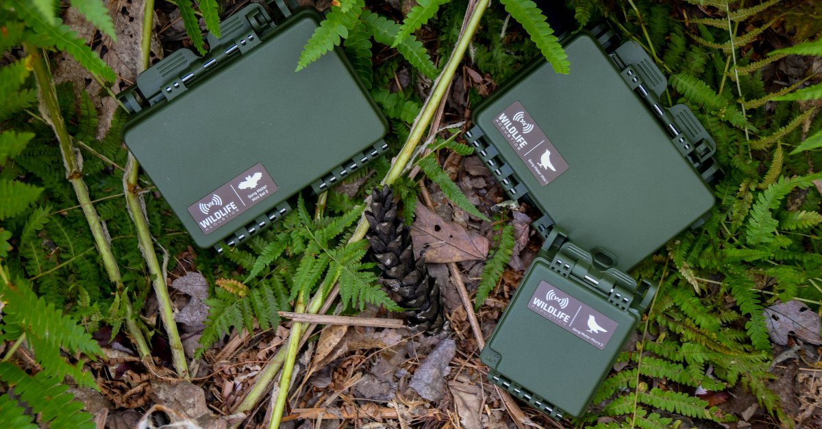 WildcareUK's tweet photo. New product alert! ๐ฃ Introducing the Song Meter Mini 2, Mini Bat 2 and Micro 2. @WildlifeAcoust have refined and adapted these new models to improve your recordings. Find out more: https://t.co/fXJVLR1TXP
#WildlifeAcoustics #BioAcoustics #Ecology #BatWorker #Bats https://t.co/32UFONEBv5