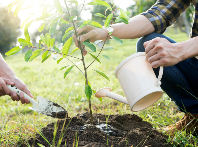 Midi Info (@midiinfo) on Twitter photo On en est où dans le programme de plantation de 2 milliards d'arbres, annoncé par le <a href="/parti_liberal/">Parti libéral</a> en 2019. <a href="/Alec_Castonguay/">Alec Castonguay</a> fait le point avec Christian Messier, professeur d'écologie forestière <a href="/UQAM/">UQAM | Université du Québec à Montréal</a>
ici.radio-canada.ca/ohdio/premiere… On en est où dans le programme de plantation de 2 milliards d'arbres, annoncé par le <a href="/parti_liberal/">Parti libéral</a> en 2019. <a href="/Alec_Castonguay/">Alec Castonguay</a> fait le point avec Christian Messier, professeur d'écologie forestière <a href="/UQAM/">UQAM | Université du Québec à Montréal</a>
ici.radio-canada.ca/ohdio/premiere…