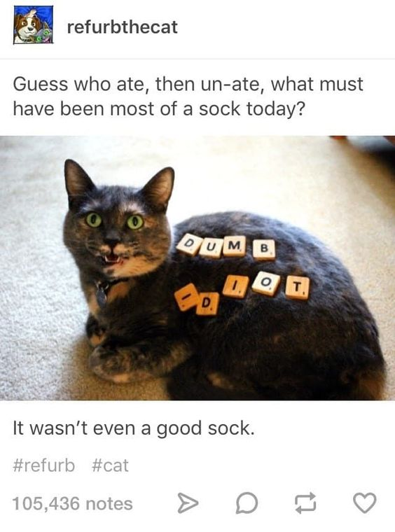 WholesomeMeme's tweet photo. https://t.co/xCrYVOxIV3