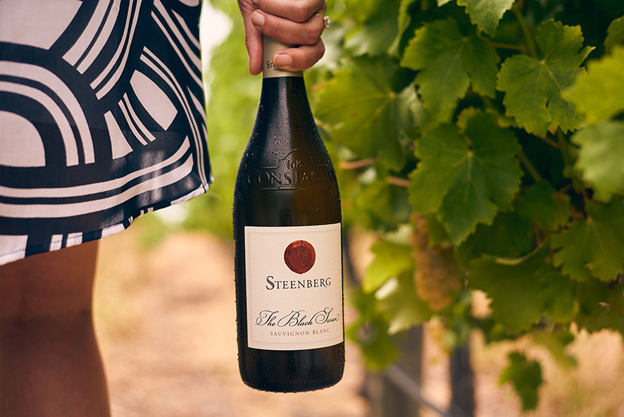 Throughmywinegl's tweet image. #Accolades | Steenberg The Black Swan included in SA Top 10 Sauvignon Blanc. Read more here throughmywineglass.co.za/steenberg-the-… via @GC_Com @SauvignonSA @SteenbergWines @ConstantiaRoute