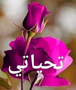 Tarek El-Sharkawy (@tarekel39486408) on Twitter photo 