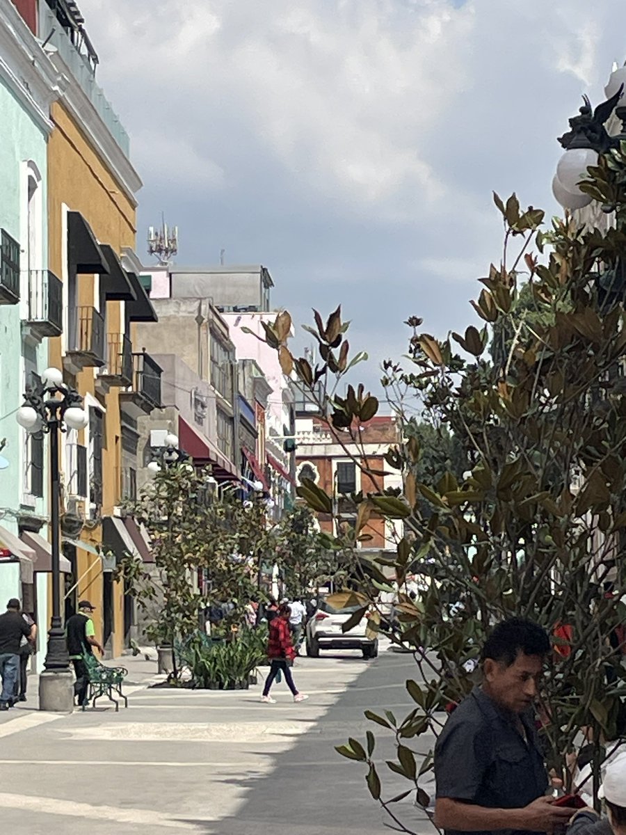 escajos's tweet photo. Qué bien se ve la 16 de septiembre con árboles y bancas en lugar de coches. ¡Sí se pudo, @eduardorivera01
@beresvc @adandominguez ! https://t.co/6cdUyXijpg