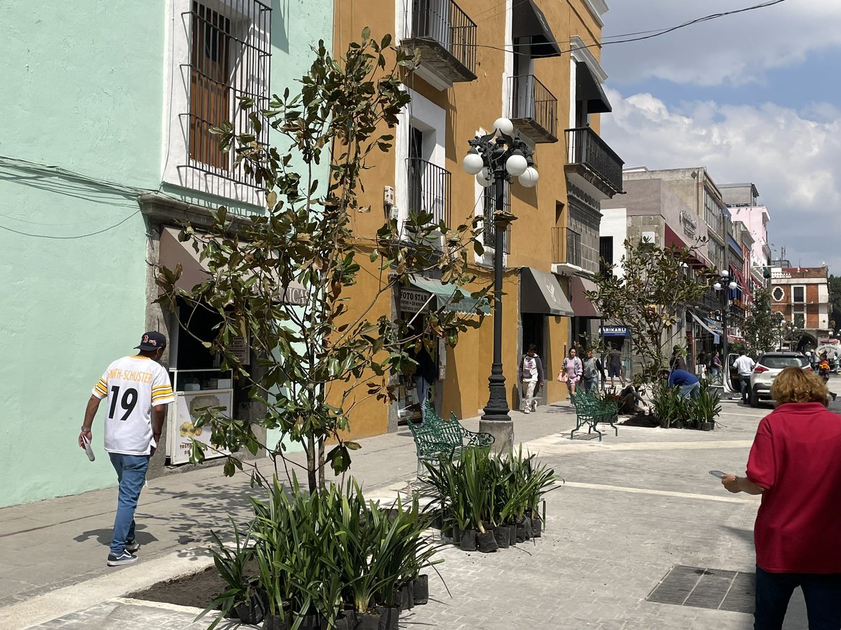 escajos's tweet photo. Qué bien se ve la 16 de septiembre con árboles y bancas en lugar de coches. ¡Sí se pudo, @eduardorivera01
@beresvc @adandominguez ! https://t.co/6cdUyXijpg