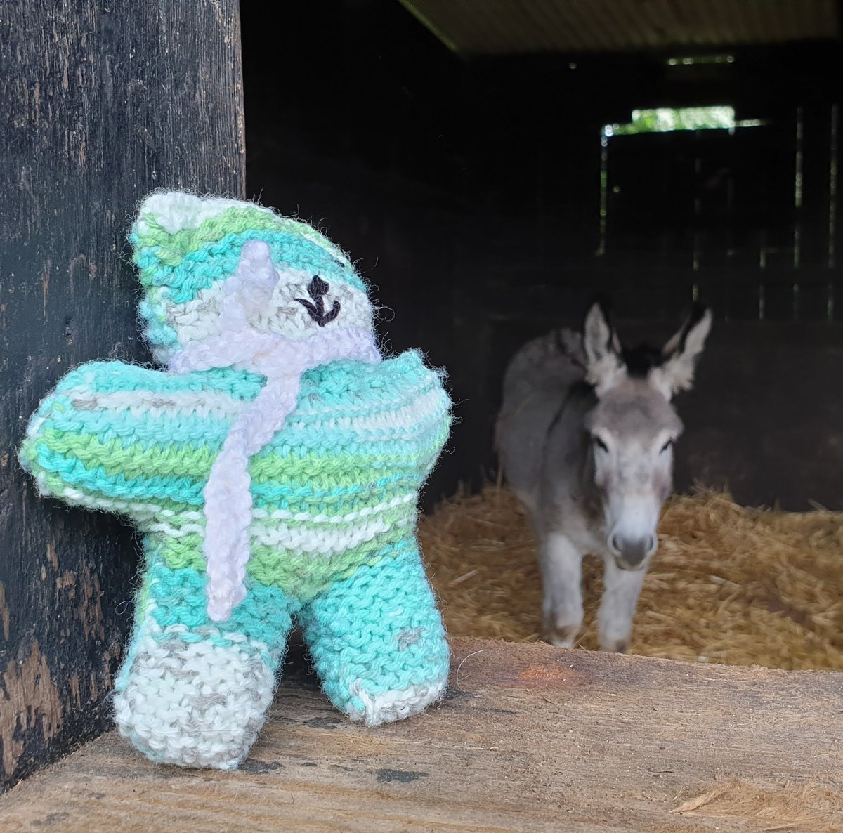 EastAnglianStoryFest tweet media