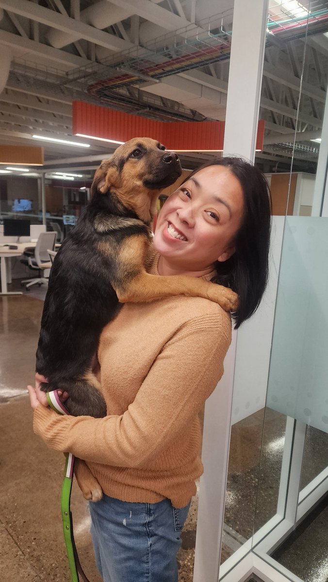 tansyko's tweet image. Meet Layla!! She&apos;s so sweet.  When I went down to say hi, she climbed up on me to be held. I love our #AdoptablePets segments.  Makes Monday mornings so much easier.  @HB_SPCA @morninglive