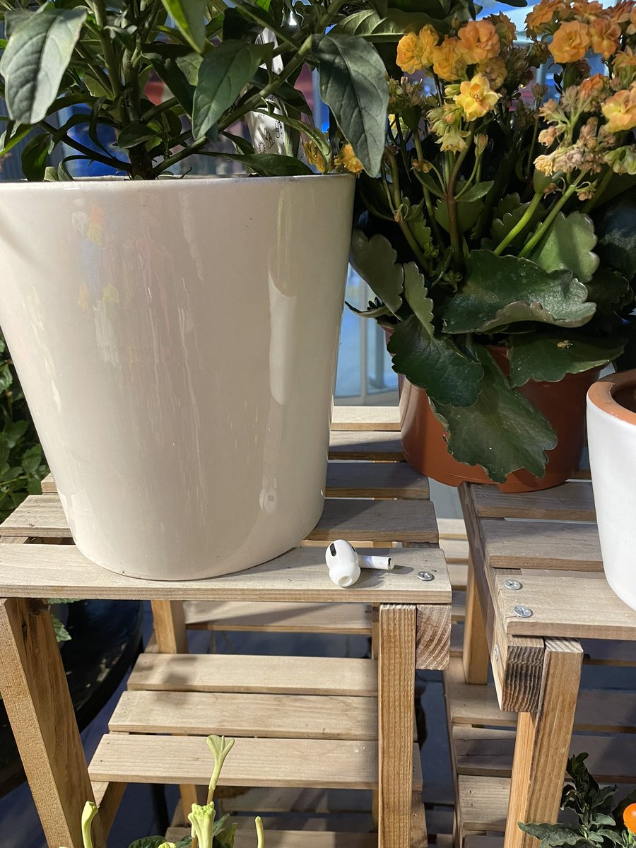 sagesoull's tweet photo. 30.1.2023, saat 20.30, Ankara, Çankaya, Koru Mah. Mesa Plaza, İş Bankası’nın karşısında otopark alanında yerde 1 adet sağ Airpods bulduk. Ulusoy Çiçekçilik’in dışardaki çiçek rafına, bu iki saksının arasına bıraktık. Güvenlik personeline bilgi verdik. Belki sahibi bu tweeti görür https://t.co/LmeIZFssTu