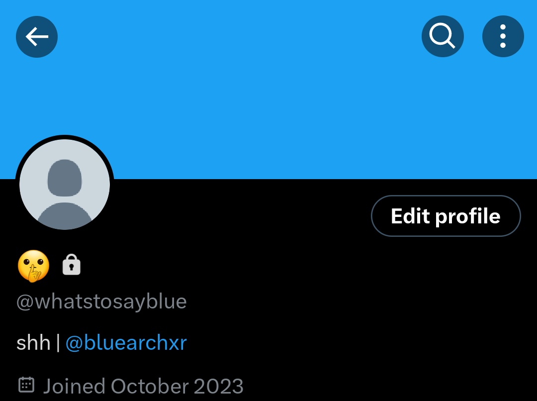 blue 🏹 (@bluearchxr) / Posts / X