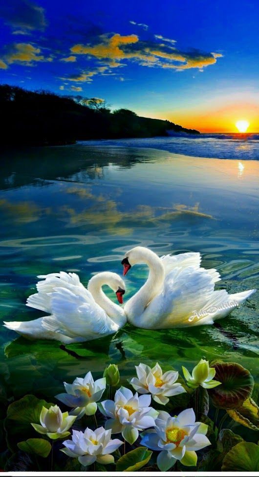 apixsun's tweet image. Thank yous lot too for the very insightful replies and for the wonderful pictures dear friend🙏🥰💗
You are absolutely right-the motivation matters very much when there is a great desire to do really good for people . And that's the leading strategy of the @kavinbm company☀🤍✨