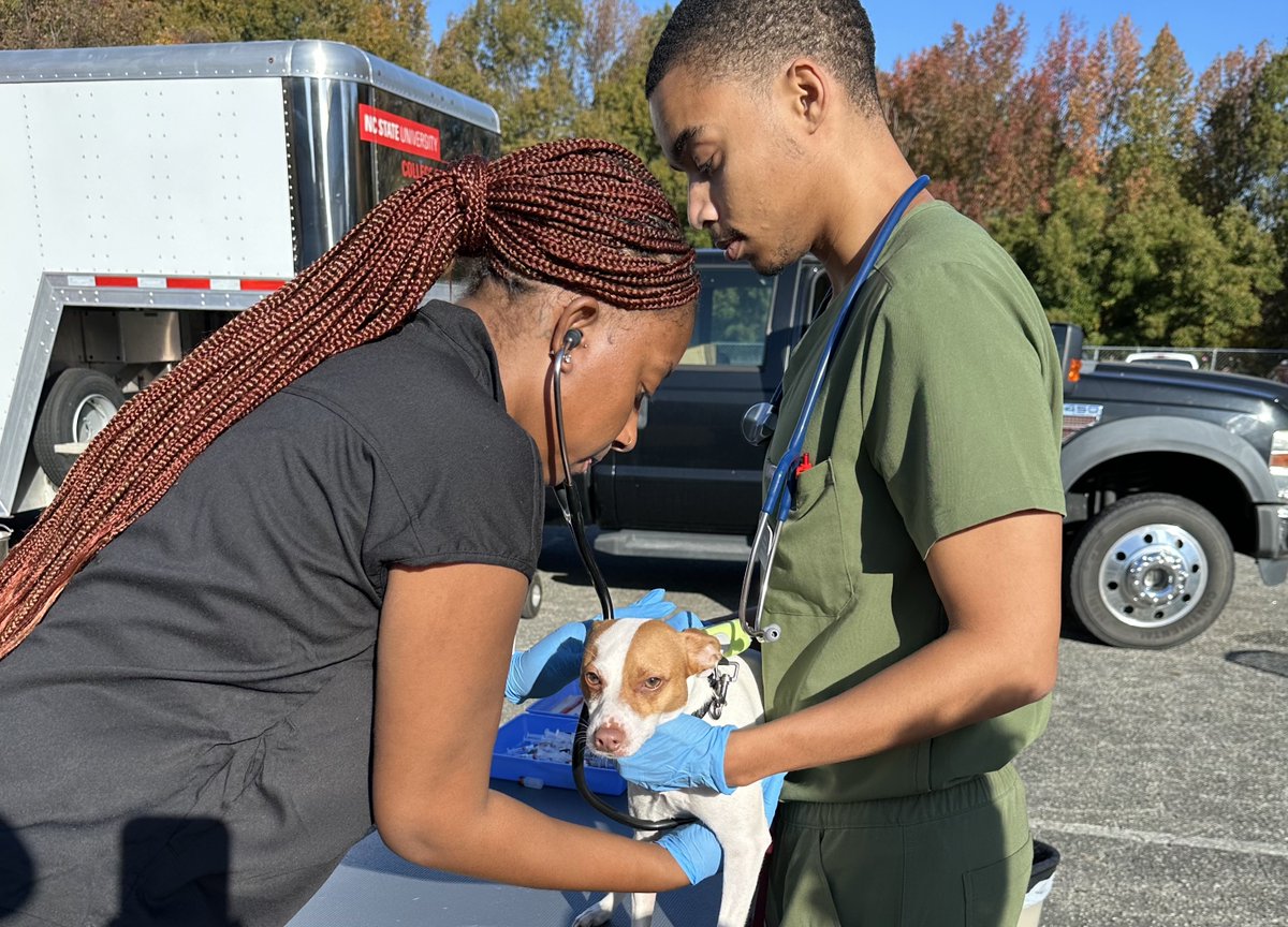 NC State Vet Medicine tweet media