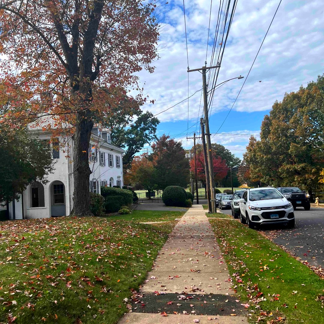 AlbertusSocial's tweet photo. Albertus, fall looks good on you. 🍁
#AlbertusMagnusCollege #FearlessFalcons #College #CTCollege https://t.co/AlRnRtC9i1
