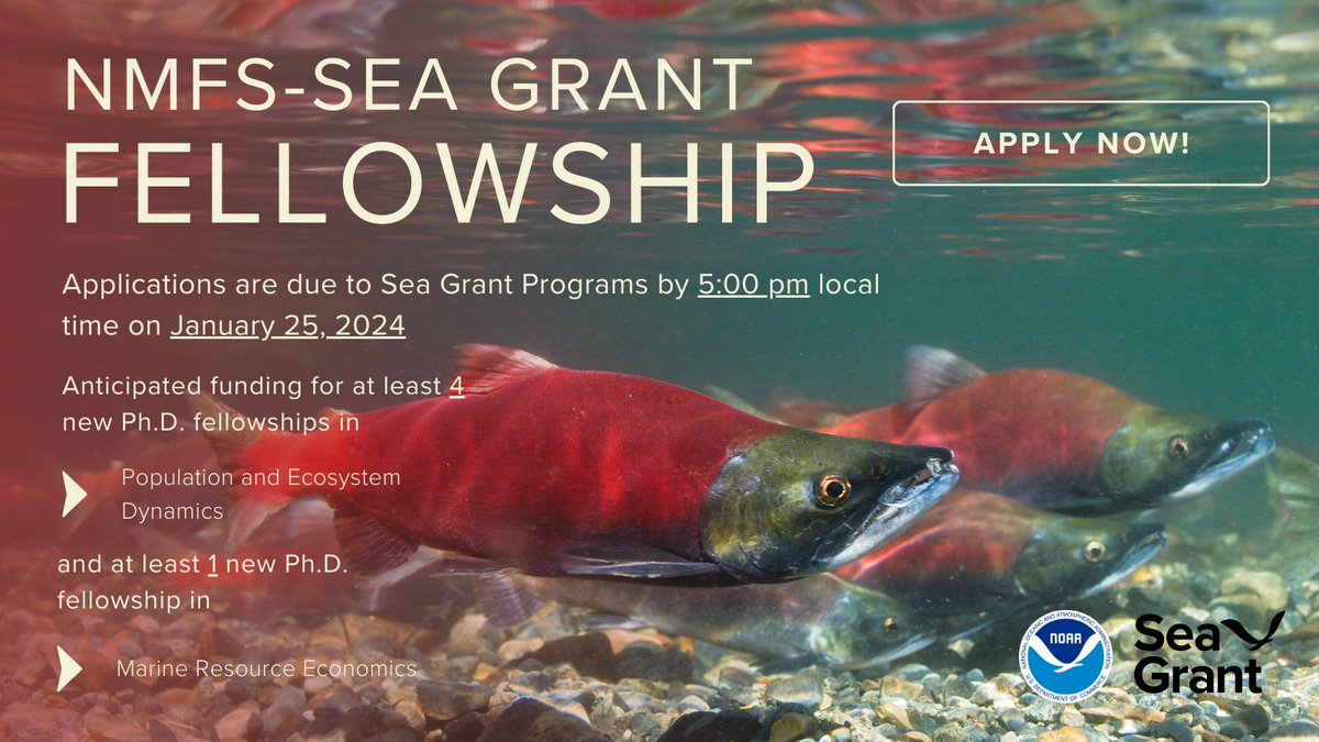 Now accepting applications for @NOAAFisheries-Sea Grant #fellowships in population and ecosystem dynamics & marine resource economics! 🎓Ph.D. #students: apply through local Sea Grant programs by Jan. 25, 2024. Information & guides at bit.ly/NMFS-SG-fellow… 🐟🐟 #FellowFriday