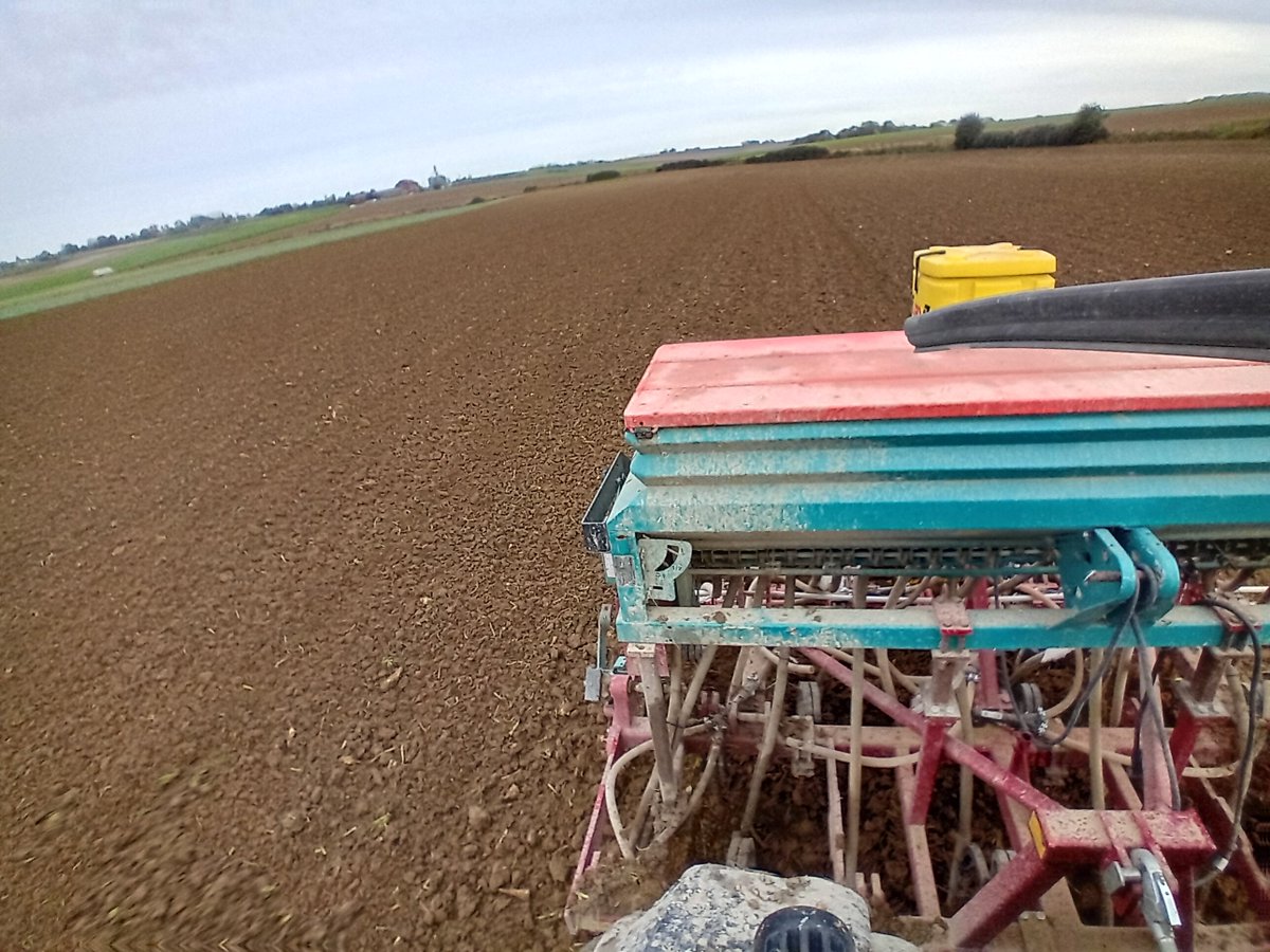 GuyotVincent02's tweet photo. Voilà une semaine et plus de 50 mm de 🌧🌧🌧 que je suis à jour dans mes semis de #blé 🌾 , sans mon T-drill #guilbart je n'aurai jamais su semer sans labour. Rendez-vous à la levée. https://t.co/4yJohKBsTa