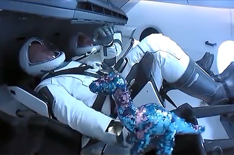 haleykesparza's tweet photo. Happy Halloween, from Tremor, your friendly neighborhood zero gravity indicator 🦕 ♥️ 🚀 https://t.co/ZJO45JEAuD