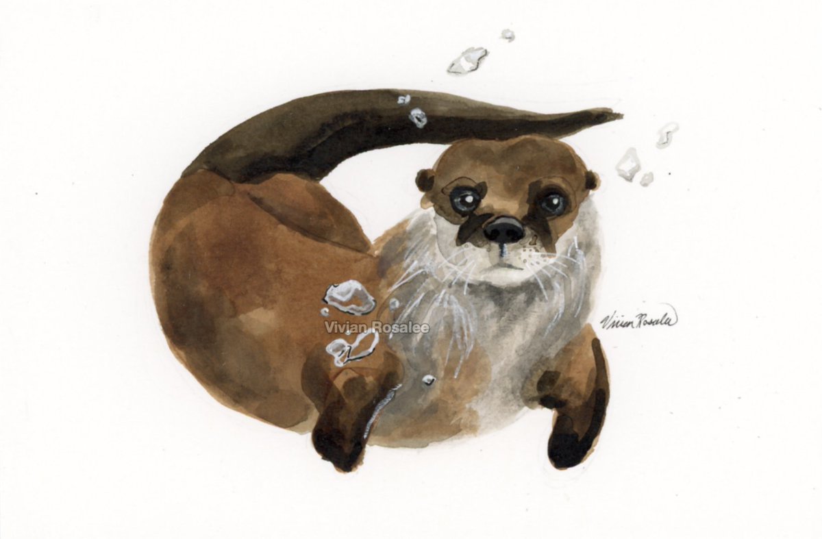 October 25th, 2023⁣⁣⁣ 
⁣⁣Prompt: Crunchy
Subject: River Otter
Explanation: They crunch on oysters!

Original ink painting matted to 8x10' | $47.50
SHIPS NOV 1. Free shipping code at checkout: INK2023
Shop here: vivianrosalee.com/product-page/r…