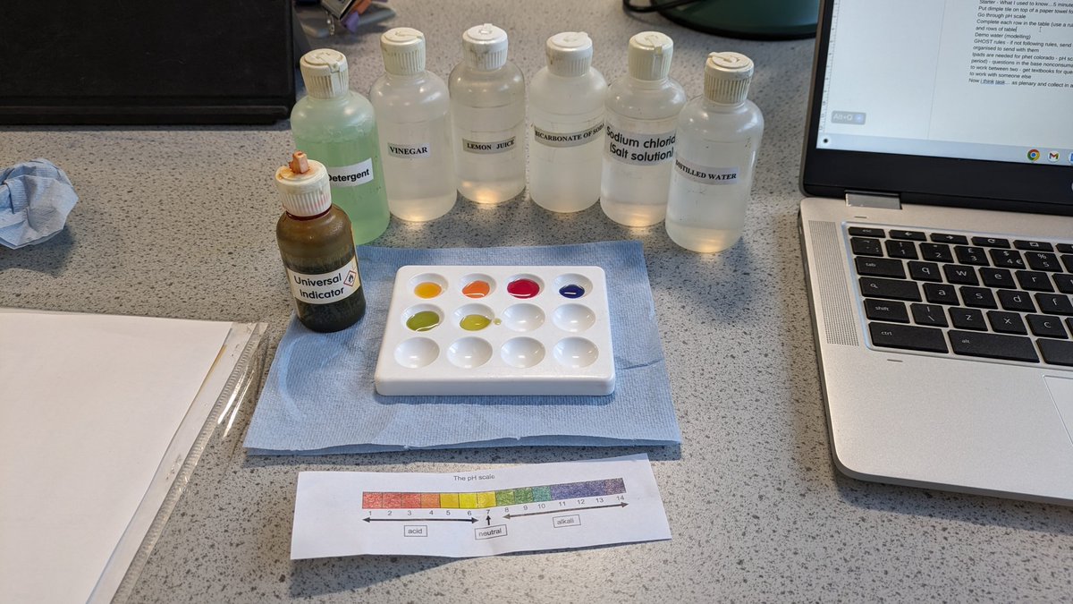Acids and alkalis practical 😁