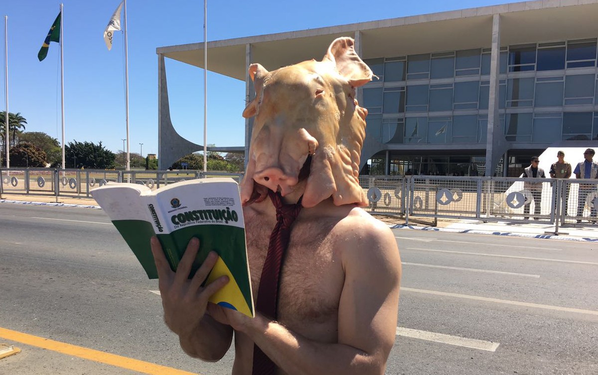 RadarDF_'s tweet photo. Artista faz performance em frente ao Palácio do Planalto com cabeça de porco e Constituição em mãos https://t.co/Qkbwt5bbMd https://t.co/SMxDeznh8G