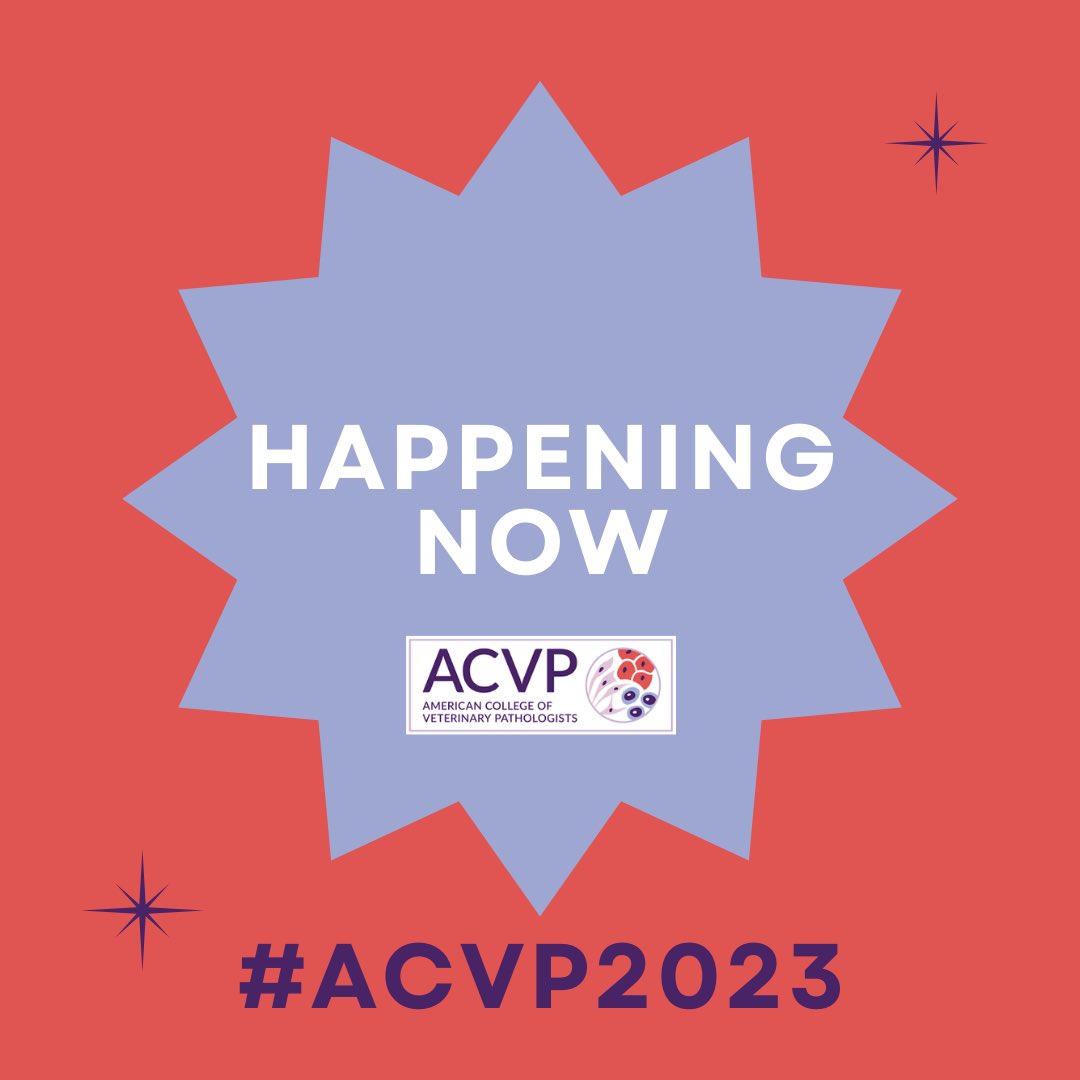Up next, at #ACVP2023!

Industrial & Toxicologic Pathology Focused Scientific Session

1:30 - 5pm

Chicago ABC, Level 5