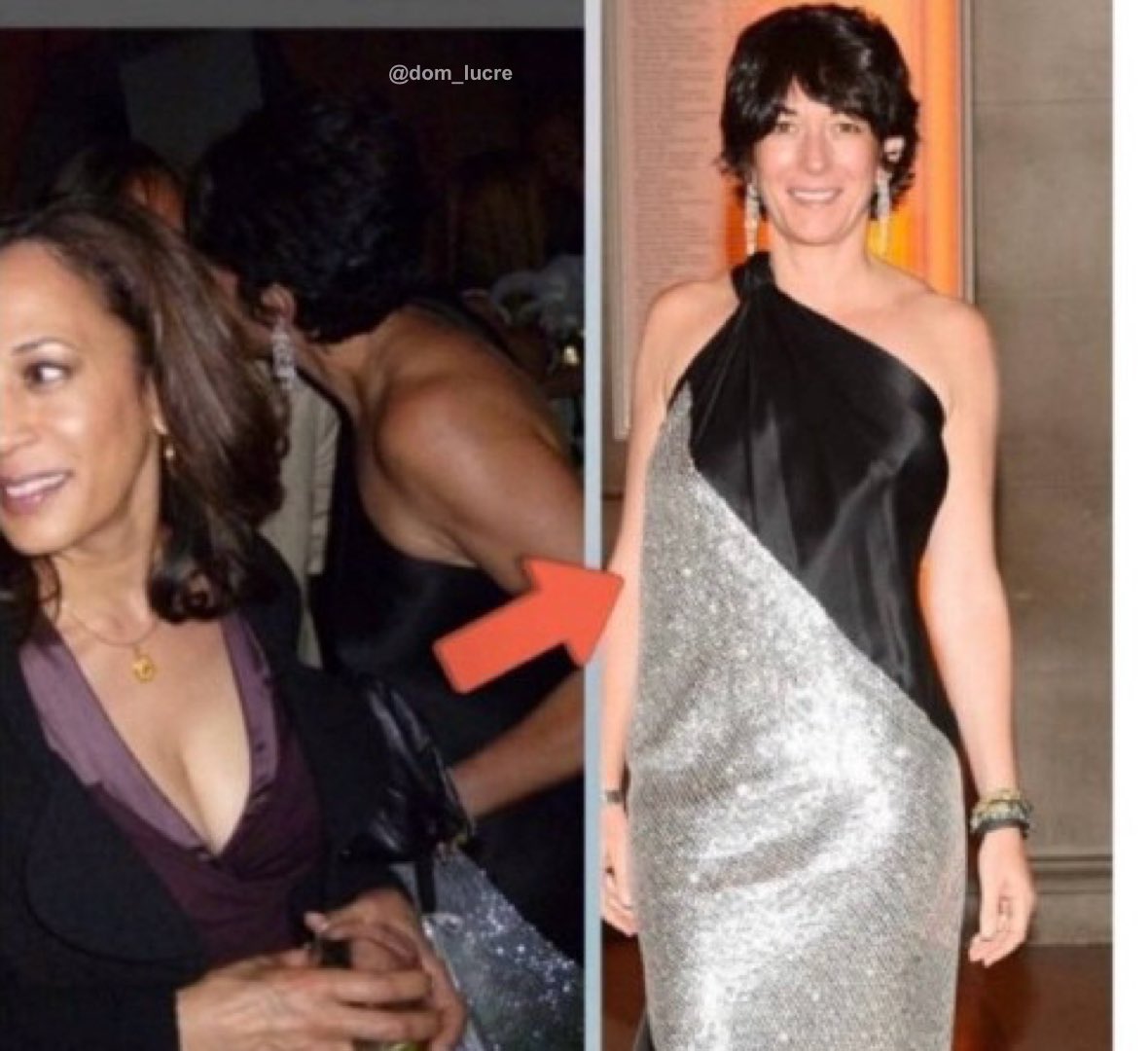 On April 25, 2012, Kamala Harris attended the Gucci hosted MSKCC's fifth annual spring ball at the Metropolitan Museum of Art with Jeffrey Epstein’s wife Ghislaine Maxwell in New York.