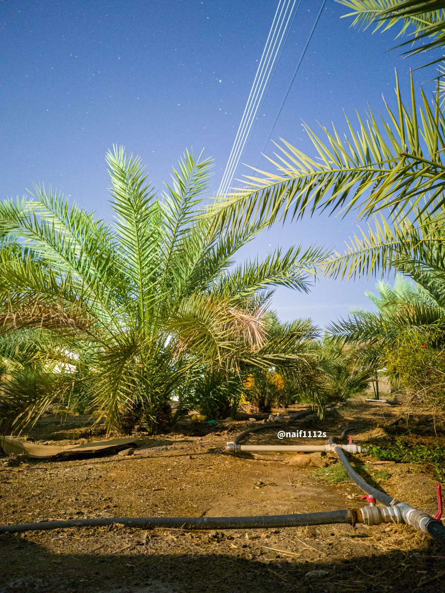 naif7almaqrshi's tweet image. الفرق بين التصوير العادي والتصوير بالوضع الإحترافي

تصوير ليلي بدون إضاءة ،،

#تصويري 
#photograghy 
#promode 
#nightshot