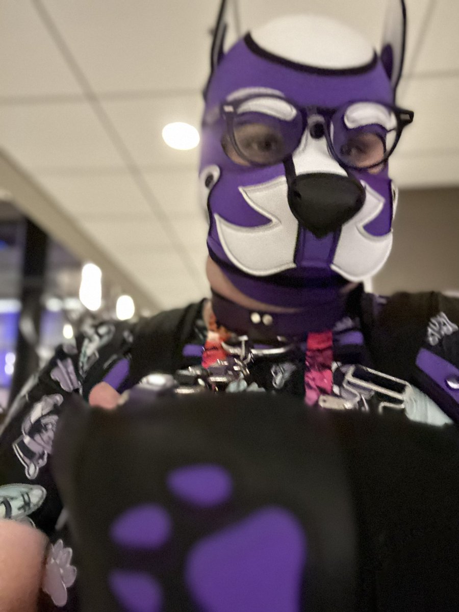 yinyinthefox's tweet photo. Well Furpoc was a successful me. Was able to Service Pup all weekend and was definitely kept busy. Bred. Bitten. Spit roasted. Paddled. Have a few sfw pics, cause I was too busy dealing with bones to ask for some naughty ones~ https://t.co/8wW4FAskwH