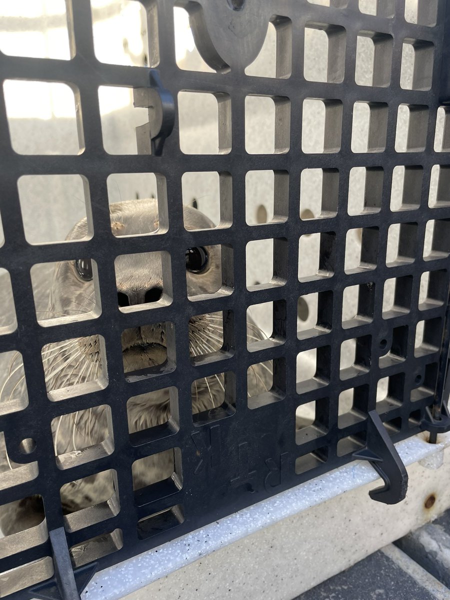 VPD Marine Unit tweet media