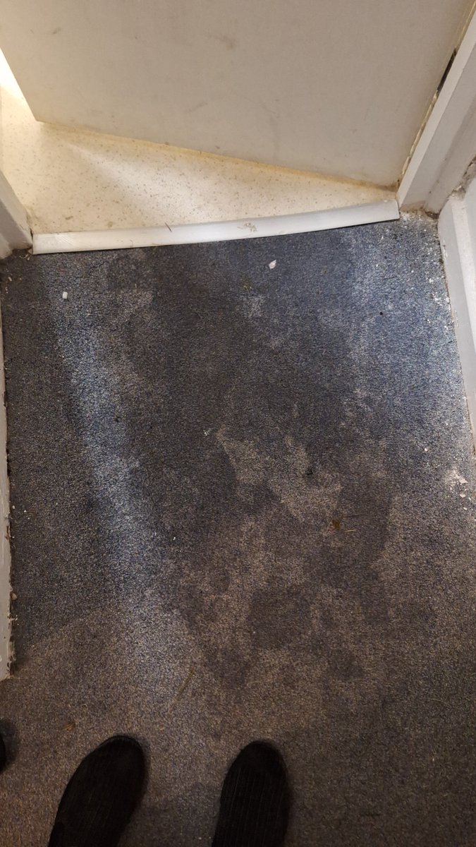 Toiletgate.....

As if things couldn't get any worse, it seems a pipe has burst under the floorboards, leading to our carpet leading to the bathroom being absolutely sodden.