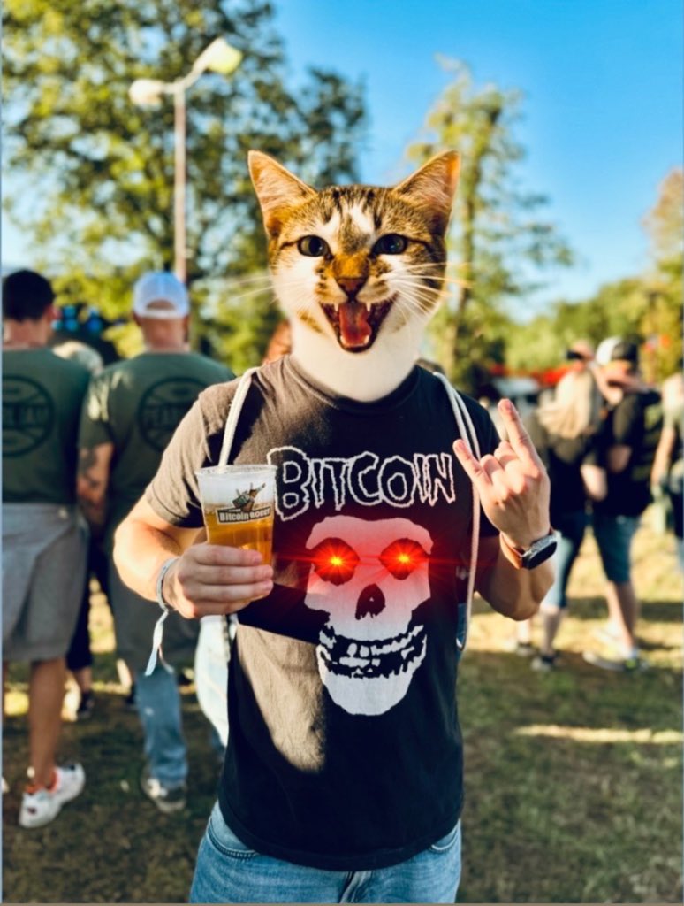 paddepadde's tweet photo. Endlich 💀
#Misfits
#Bitcoin
#Misbits
@Dragsugg https://t.co/LggVjVYURA
