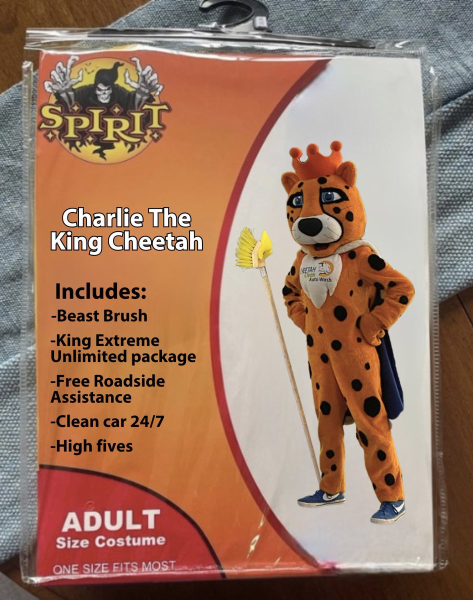 Don’t let a dirty car scare you this Halloween, Charlie is here to rescue! 🐆👻🕸️