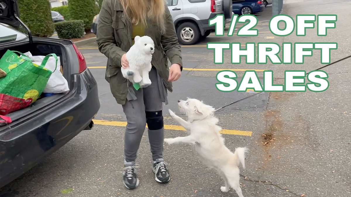 Quarterbash tweet media