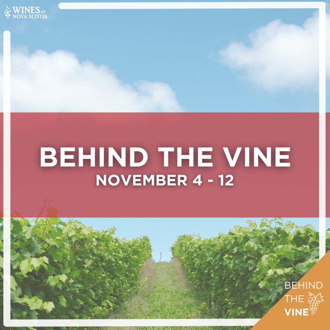 From November 4 - 12, join participating Nova Scotia wineries in this year's Behind the Vine events where guests can continue to celebrate local into the holiday season. 🍂 Visit the event page below to see what is planned for this magical time of year! winesofnovascotia.ca/behind-the-vin…