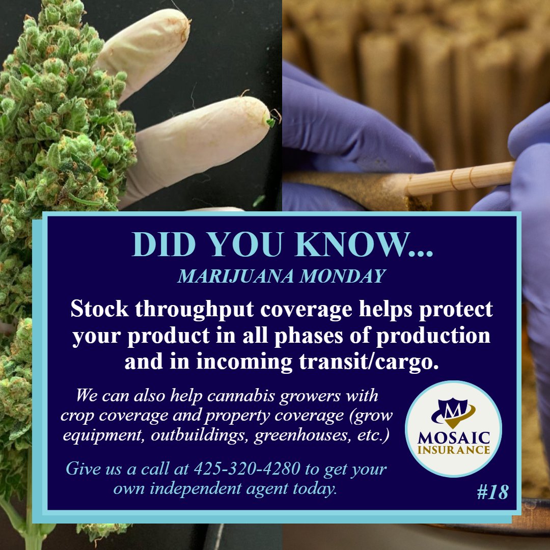 No matter the size or scale of your #marijuana growing operations, there are a number of risks that put your business at stake. Call us at 425-320-4280 (or email at cannabis@mosaicia.com) to discuss your options & next steps.

#Mosaicia #marijuanamonday #cannabissociety #cannabis