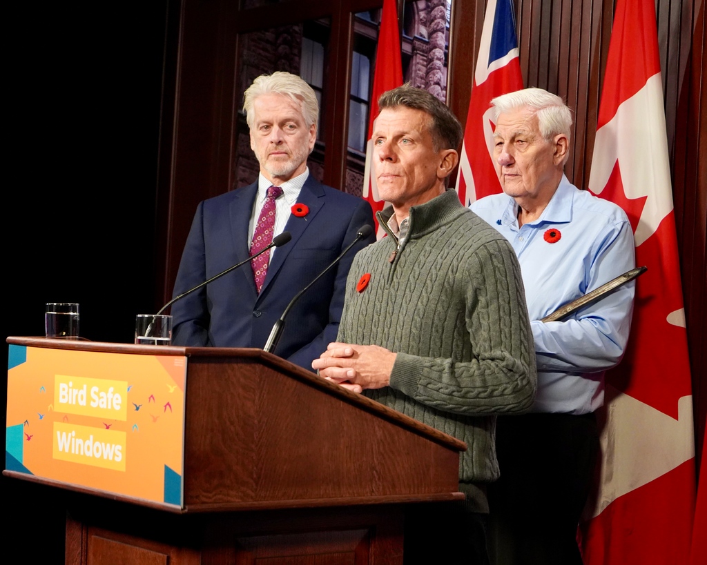 Since @FLAPcanada and I first asked the Ford Conservatives to mandate bird safe windows, 2 million birds have died from window collisions in Ontario. Birds play an essential role in our economy and environment. Sign the petition here: chrisglovermpp.ca/protect_migrat…

#onpoli