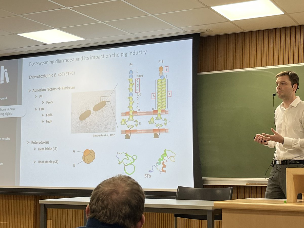 Happily surprised to see that work on #F18 (#F107) E.coli is still ongoing, in the case of #MatthiasDierick’s PhD at #University of Ghent in relation with #lactoferrin. Possible protection against weaning diarrhoea (and oedema disease?) Congratulations, Matthias!