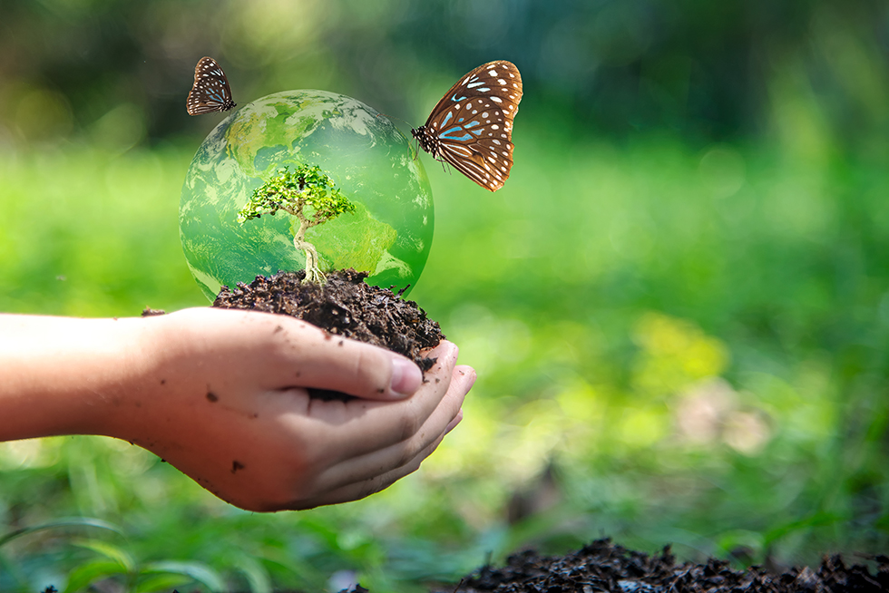 CounterActCC's tweet image. Read about "Nature-Based Solutions to Cope with Climate Change" in the CounterAct Climate Change October e-newsletter! tinyurl.com/4j6hjwsa  #environment #climateaction #climatechange