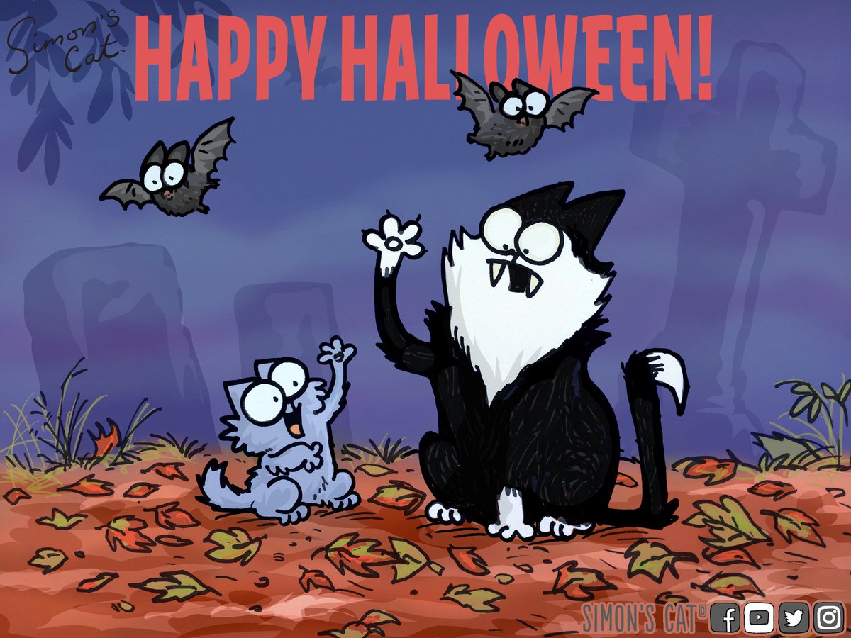 Happy #Halloween cats and ghouls! Go forth and be scary...👻