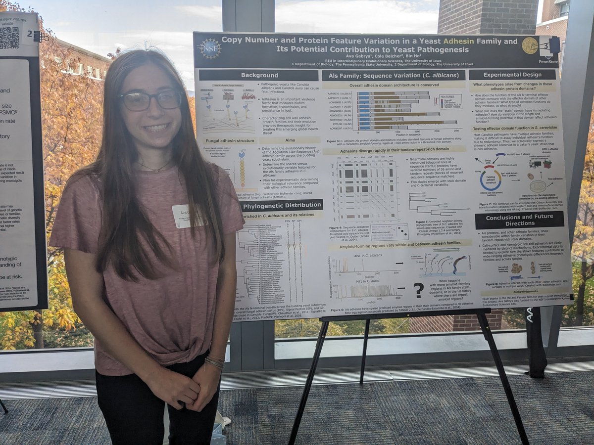 Congratulations to our undergrad student Ava Gabrys on her poster presentation at the 2023 Biology student research showcase on Friday, Oct 27, exploring "Copy number and protein feature variation in a yeast adhesin family and its potential contribution to yeast pathogenesis."