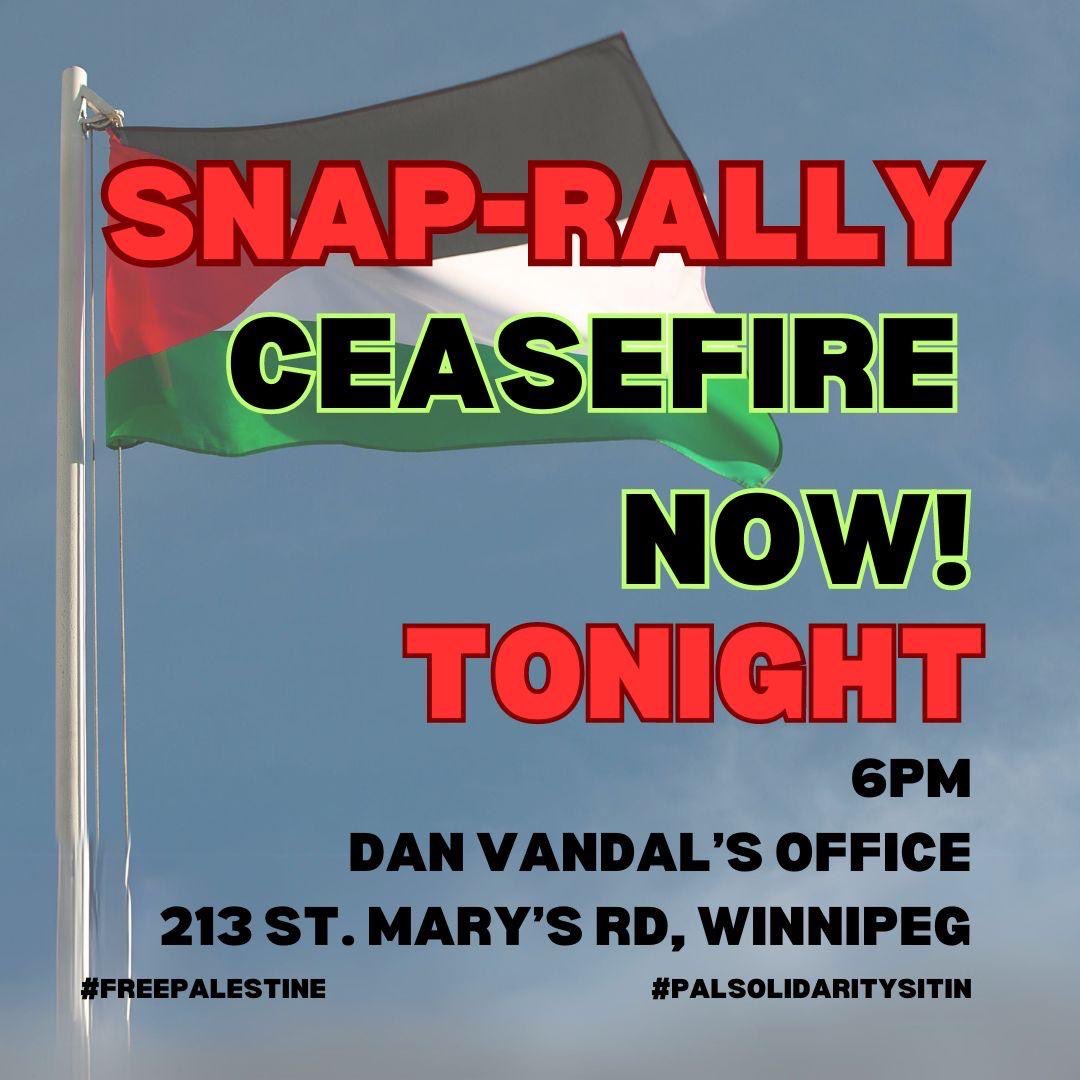 Tonight at Dan Vandal’s office 213 St Mary’s Cease Fire Now! #palsolidaritysitin